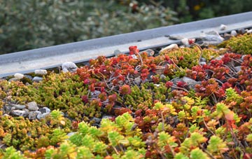 the cost of Lyneham green roof installation
