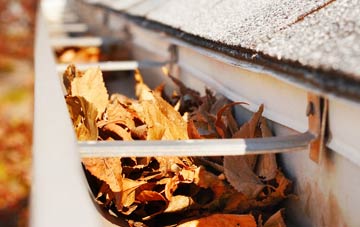 Lyneham gutter cleaning companies