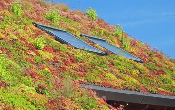 Lyneham living roof systems