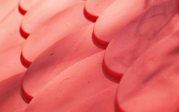 Lyneham plastic roof costs